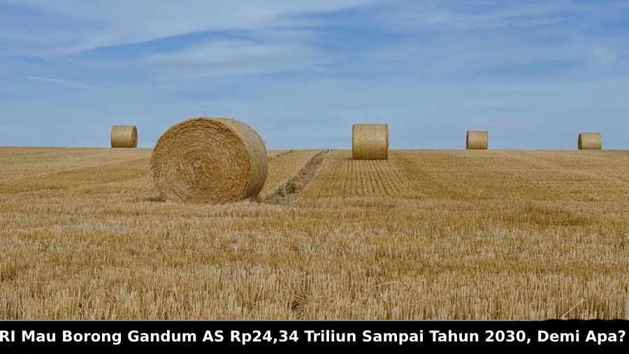 Borong Gandum AS